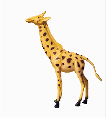 Product Title Goes Here 2